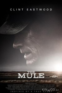 Наркокурьер 
