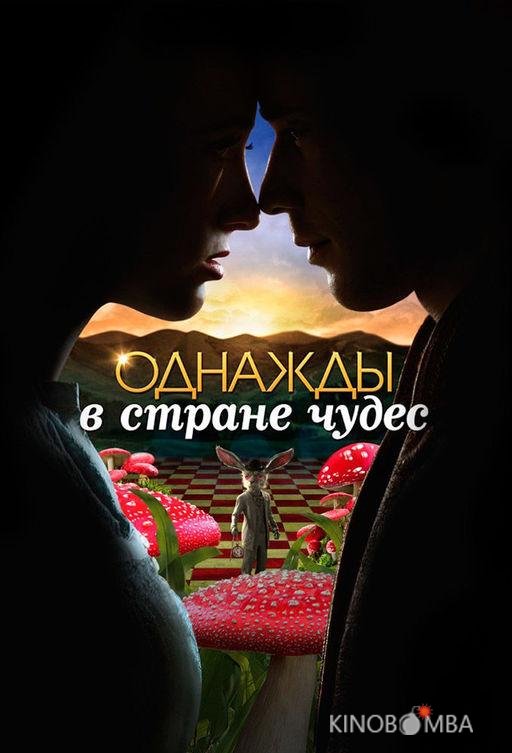 Однажды в стране чудес